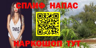 дмт Краснознаменск