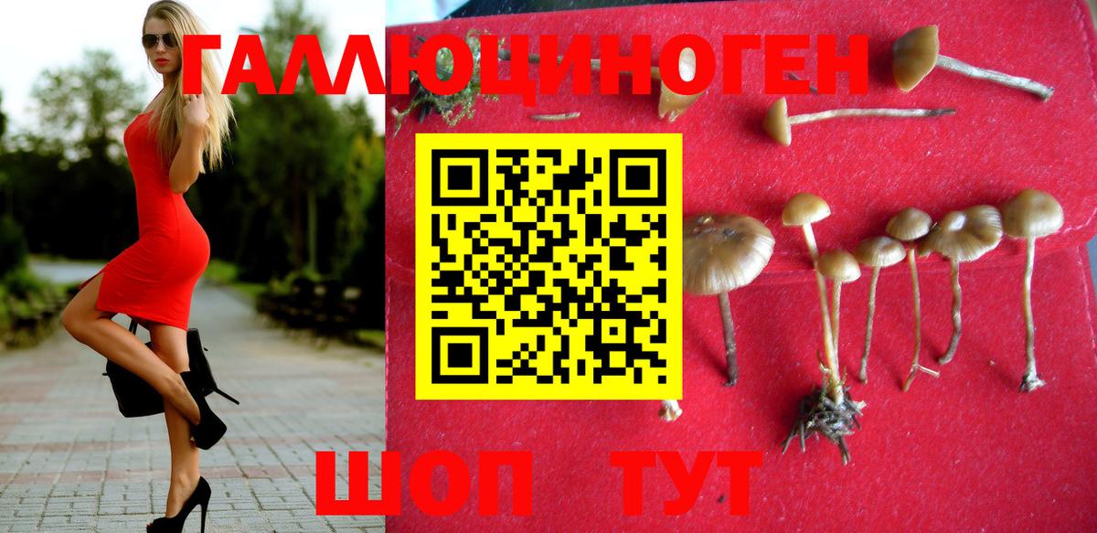 Псилоцибиновые грибы мухоморы  Галлюциногенные грибы Cubensis  Кинель  Вход с VPN 